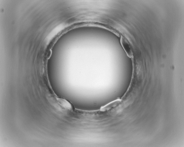 X0000088151069200705291417