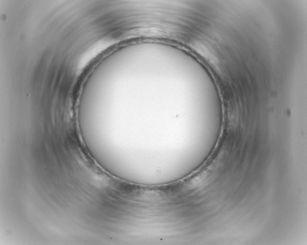 X0000088151070200705291417