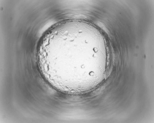 X0000088151071200705291417