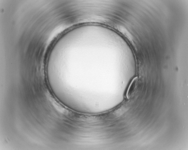 X0000088151072200705291417