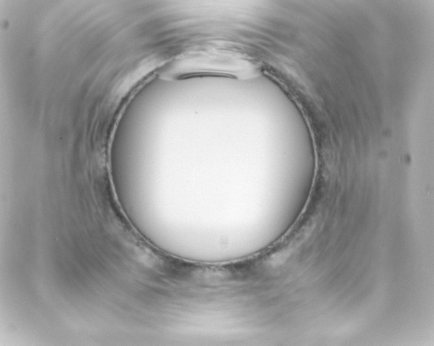 X0000088151073200705291417