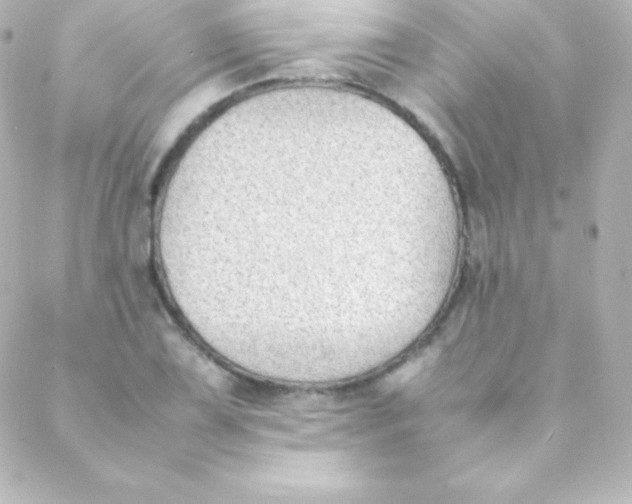 X0000088151075200705291417