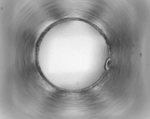 X0000088151076200705291417