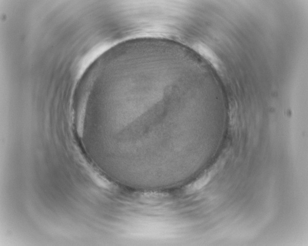 X0000088151077200705291417