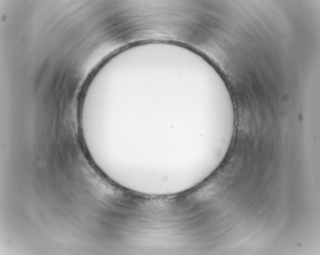 X0000088151078200705291417