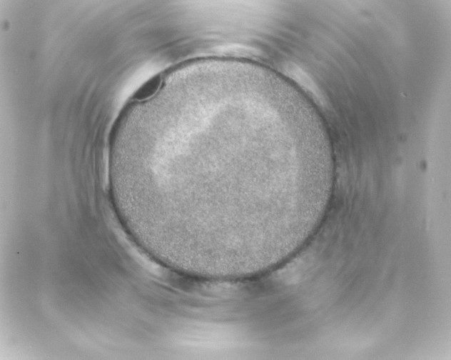 X0000088151079200705291417