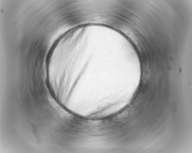 X0000088151080200705291417