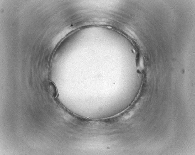 X0000088151081200705291417