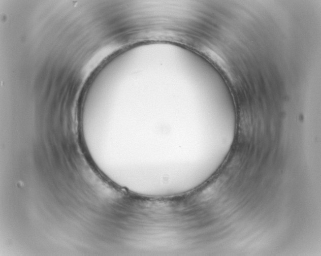 X0000088151082200705291417