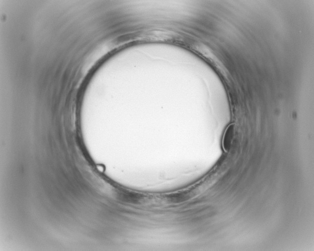 X0000088151083200705291417