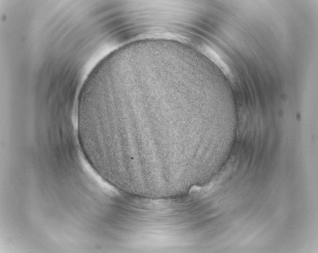 X0000088151084200705291417