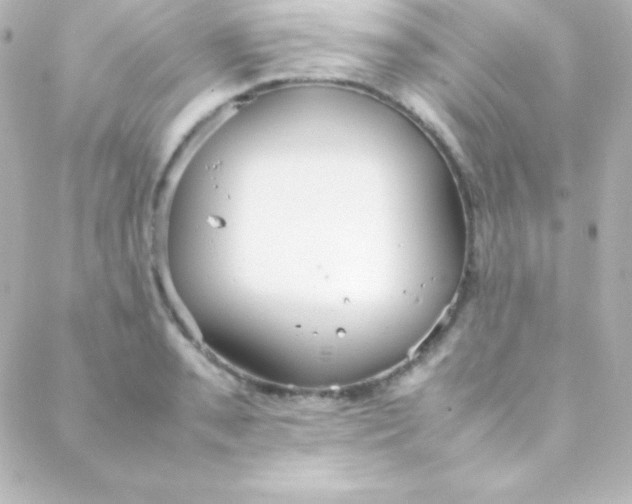 X0000088151085200705291417