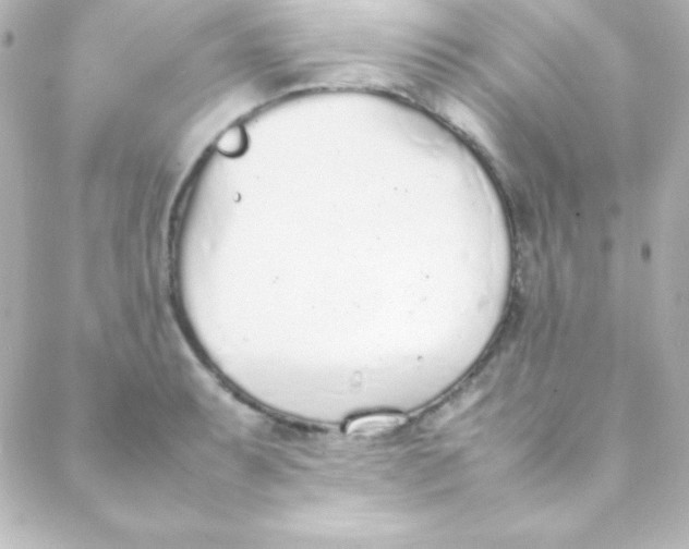 X0000088151087200705291417