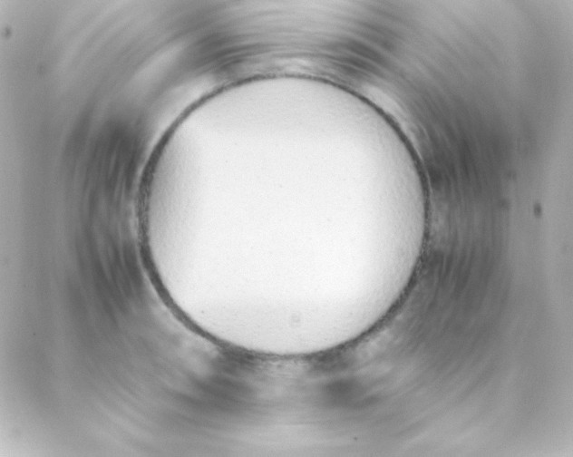 X0000088151090200705291416