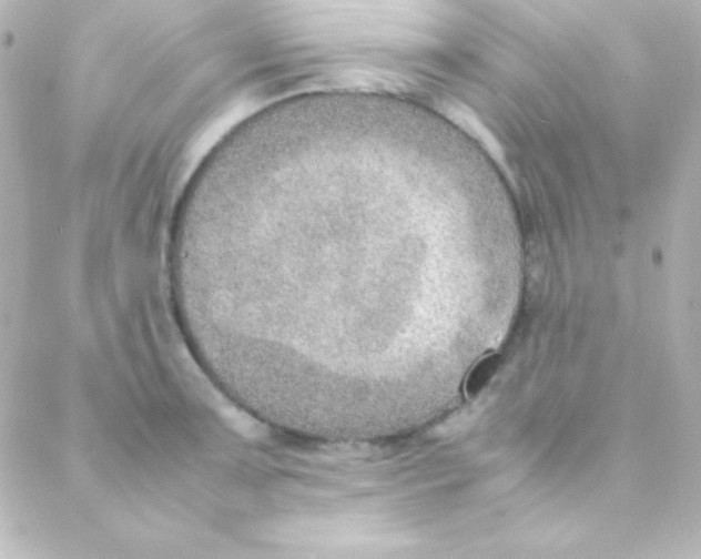 X0000088151091200705291416