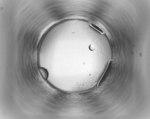 X0000088151092200705291416