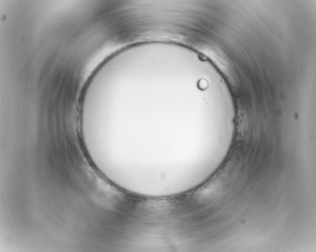 X0000088151094200705291416