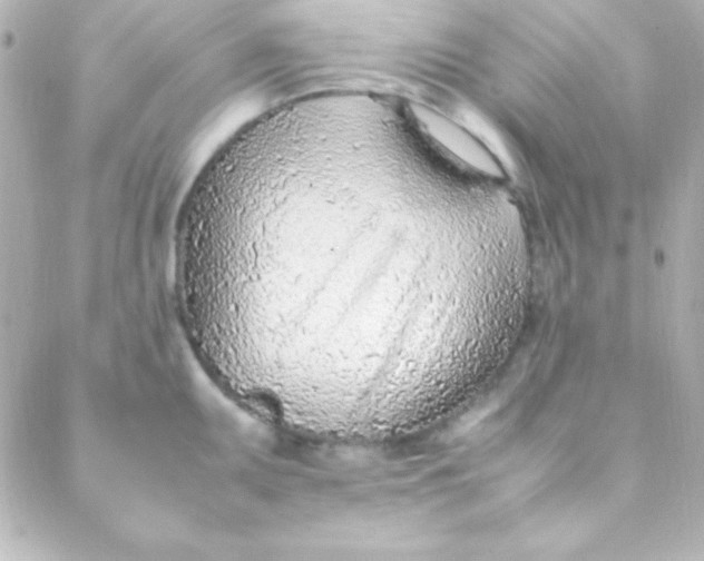 X0000088151095200705291416