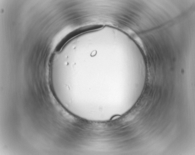 X0000088151096200705291416