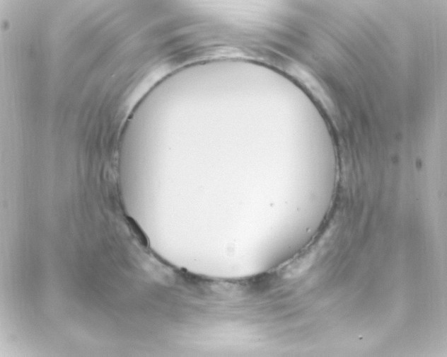 X0000088151097200705291416