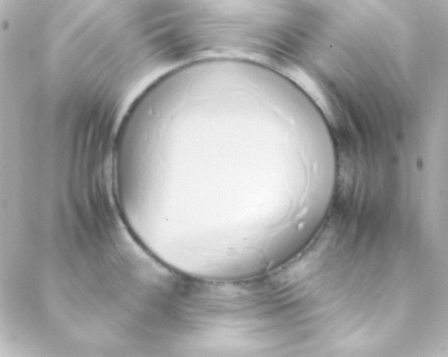 X0000088151100200705291416