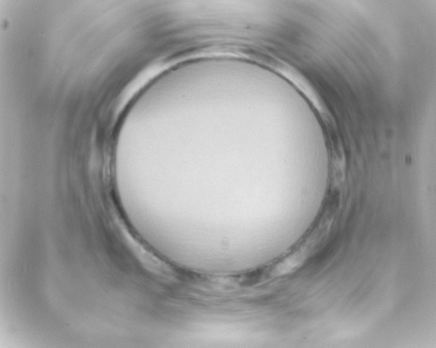 X0000088151101200705291416