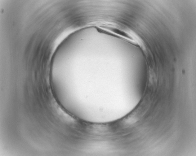 X0000088151102200705291416