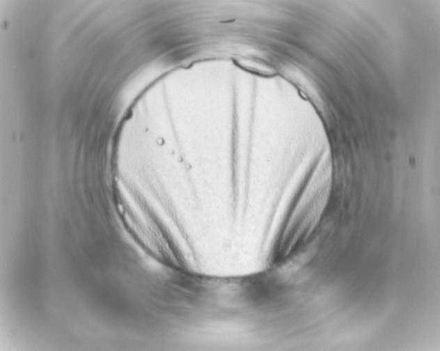 X0000088151103200705291416