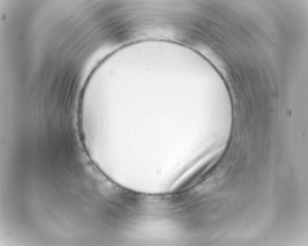 X0000088151104200705291416