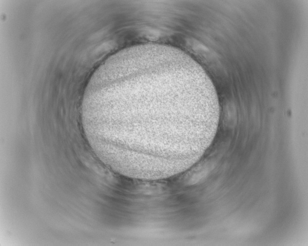 X0000088151105200705291415