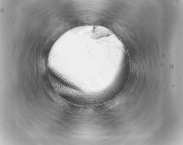 X0000088151106200705291416