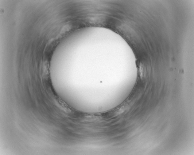 X0000088151107200705291416