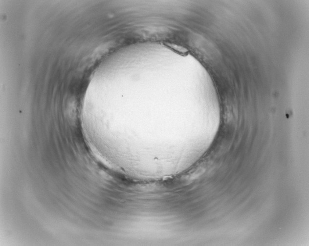 X0000088151108200705291416