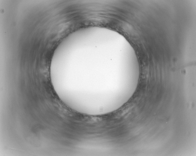 X0000088151109200705291416