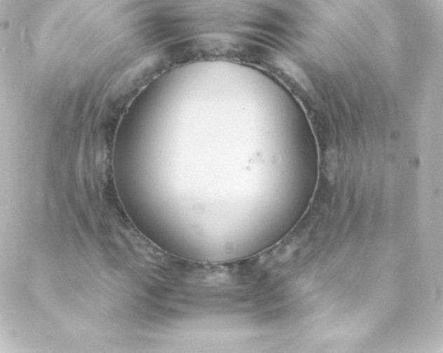 X0000088151111200705291416