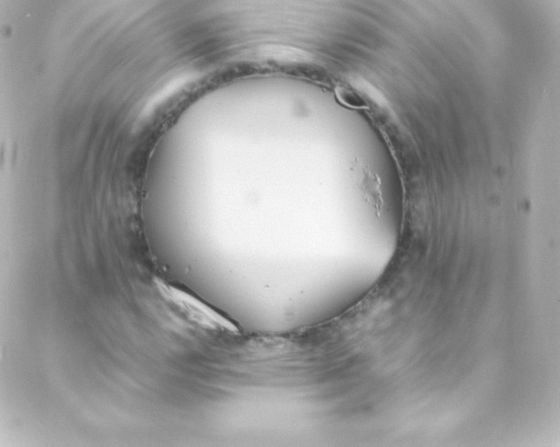 X0000088151112200705291416