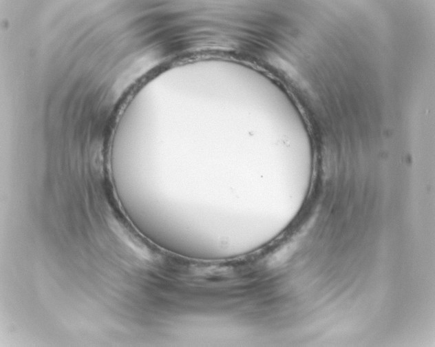 X0000088151113200705291416