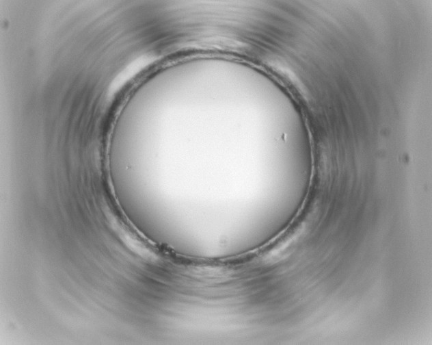 X0000088151114200705291416