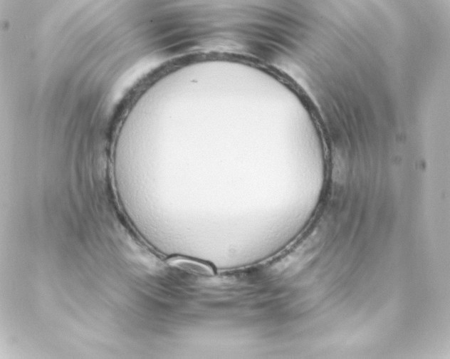 X0000088151115200705291416