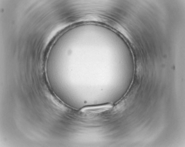 X0000088151116200705291416