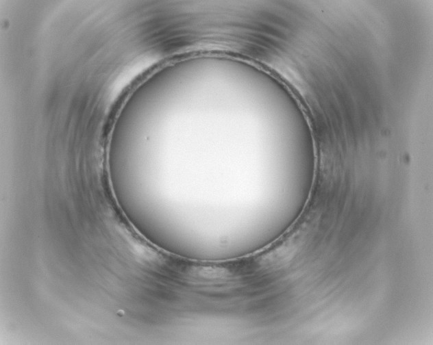 X0000088151119200705291416