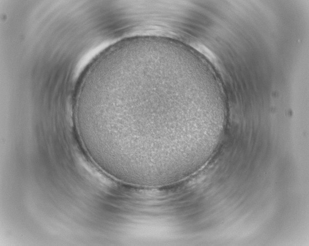 X0000088151120200705291416