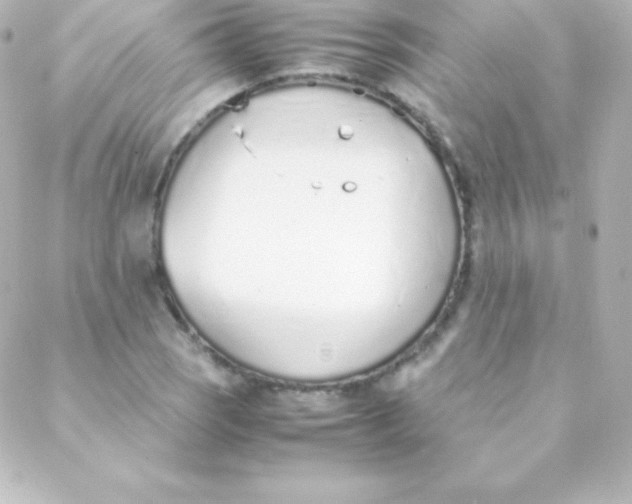 X0000088151121200705291416