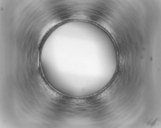 X0000088151123200705291416