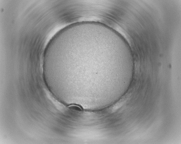 X0000088151124200705291416