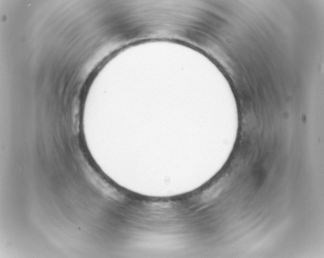 X0000088151126200705291416