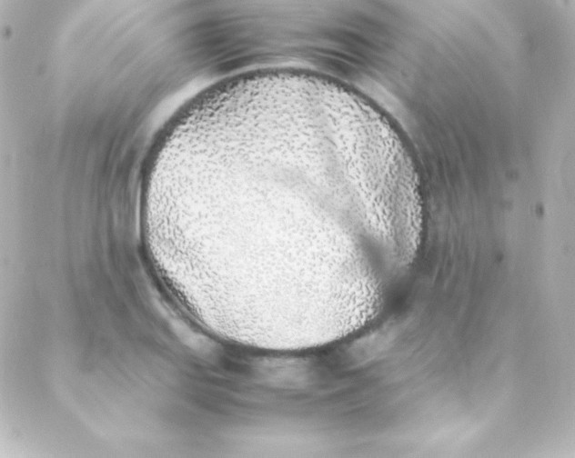 X0000088151127200705291416