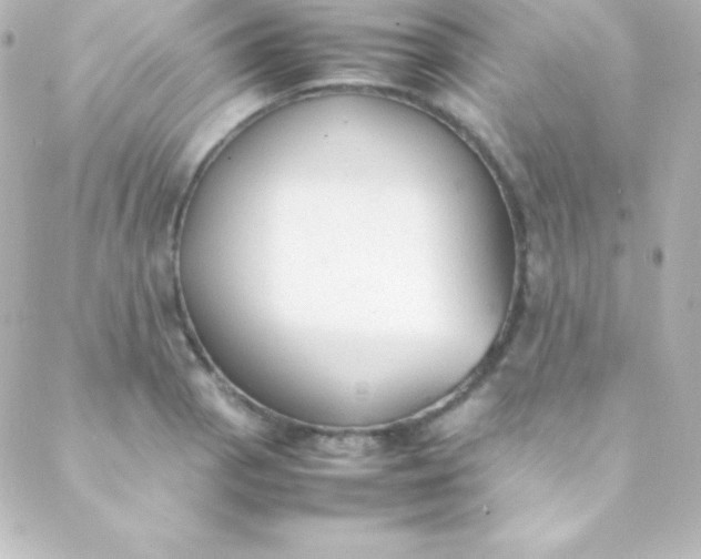 X0000088151129200705291416