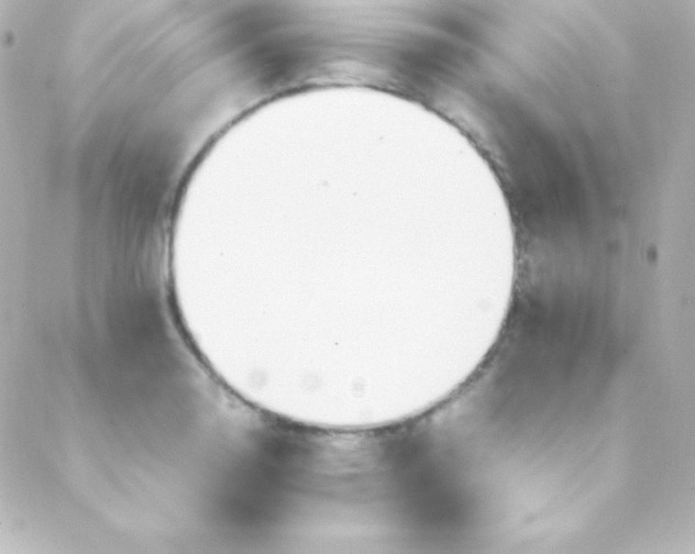 X0000088151130200705291416