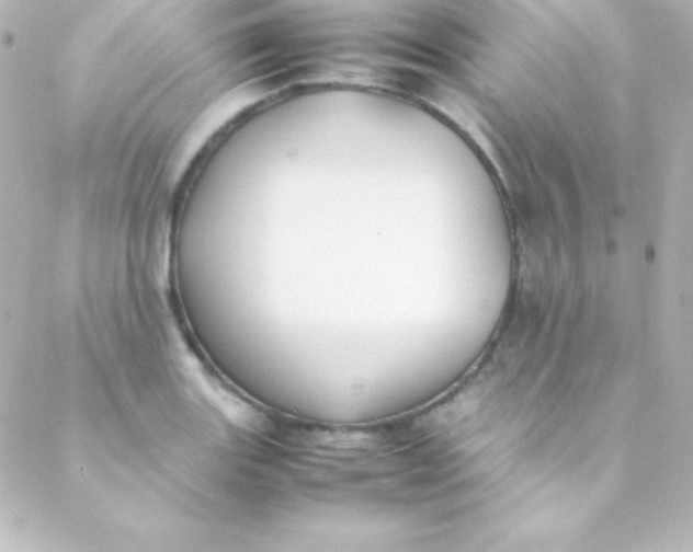 X0000088151131200705291416